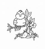 Coloring Pages Flowers Birds Flower Bird Cute Adult Printable Kids Adults Branch Print Color Birdie Colouring Visit Tweety Stamps Detail sketch template