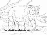 Pages Coloring Realistic Printable Animal Getcolorings Intricate American Getdrawings Color sketch template