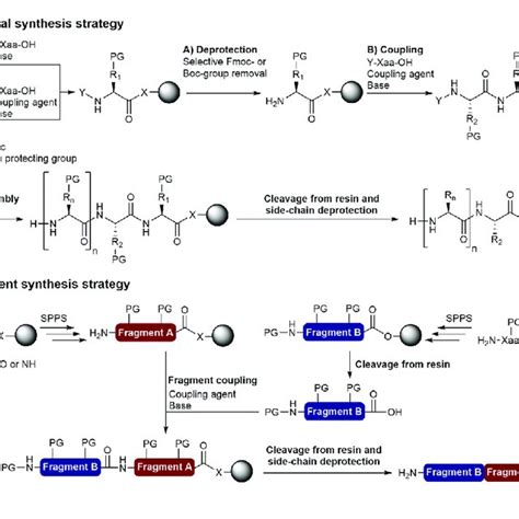 solid phase peptide synthesis strategies  stepwise synthesis