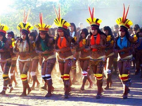 sem efeitos colaterais indios brasileiros e a defesa da cultura indios brasileiros Índio