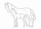 Foal Lineart Darya87 sketch template