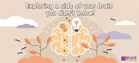 exploring a side of your brain you didn t know learning tree
