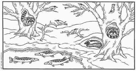 printable coloring pages hibernating animals find  animals