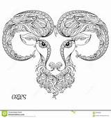 Aries Coloring Zodiac Drawn Pattern Hand Book Tattoo Pages Leo Man Woman Sign Books Horoscope Vector Constellation Illustration Stock Choose sketch template