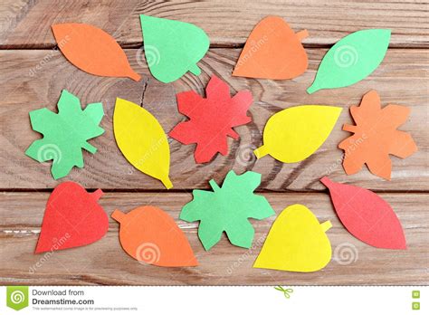 paper autumn leaves shaped  trimmed  scissors simple form