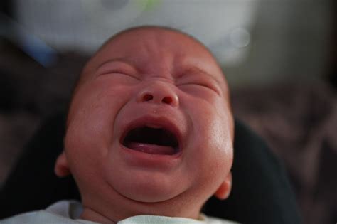 babies cry  night  prevent  parents    kids vox