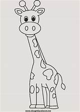 Giraffe Einzigartig Tiere sketch template