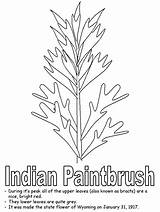 Indian Paintbrush Coloring Wyoming Pages Flower Paint Brush Cliparts Clipart Library Ws Kidzone Geography Usa sketch template
