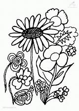 Coloring Plant Colouring Pages Plants Printable Clipart Library sketch template