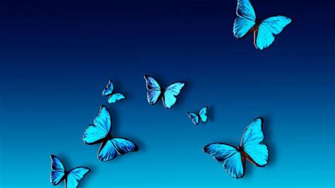 blue butterfly desktop wallpapers wallpaper cave