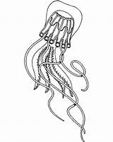 Tentacle Coloring 29kb 755px sketch template