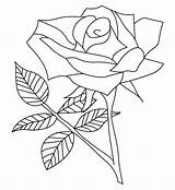 Mewarnai Bunga Mawar Coloriages Imprimer Sketsa Putih sketch template