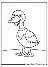 Ducks sketch template