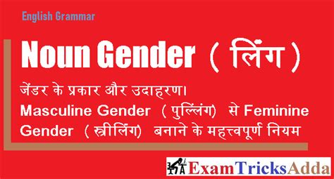 Noun Gender Types And Rules With Examples In Hindi Examtricksadda