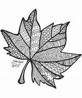 Zentangle Mandala Doodle Kolorowanki Coloring Fall Drawing Fulla Leaf Printable Textura Para Pages Automne Zentangles Dolors Buch Mandalas Wzory Estany sketch template