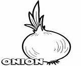 Coloring Pages Vegetable Onion sketch template