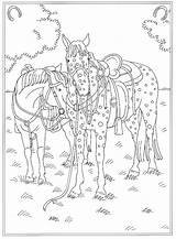 Kleurplaten Manege Reitschule Paarden Paard Reiterhof Pferde Schleich Ijslander Prinses Paardenstal Downloaden Malvorlagen1001 Printen sketch template
