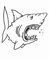 Shark Coloring Pages Sharks Kids Hungry Drawing Jaws Chibi Great Color Funny Print Children Jaw Outline Template Printable Hammerhead Getdrawings sketch template
