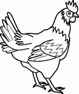 Coloring Cock Farm Animal Baby Pages Chicken Wecoloringpage Clip Outline Hen Drawings Cartoon Flower Easy sketch template