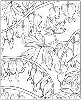 Coloring Book Publications Dover Color Pages Number Welcome Samples Doverpublications Zb sketch template