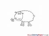 Lamb Colouring Kids Printable Coloring Pages Sheet Title sketch template