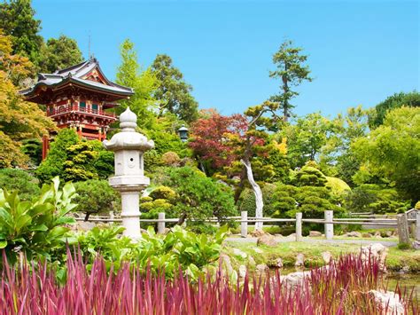 japanischen garten anlegen  ideen mit bildern pflanzen deko