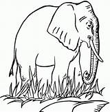 Elephants Elefante Bestcoloringpagesforkids Matita Scaricare Clipartmag sketch template