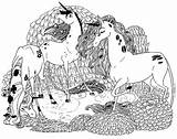 Licornes Coloriages Onchao Pintar Kolorowanki Elf Eenhoorn Ausdrucken Unicorns Morningkids sketch template