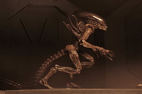 alien resurrection alien warrior    neca