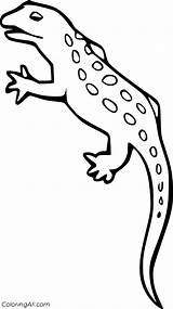Lizard Coloringall Blotched sketch template