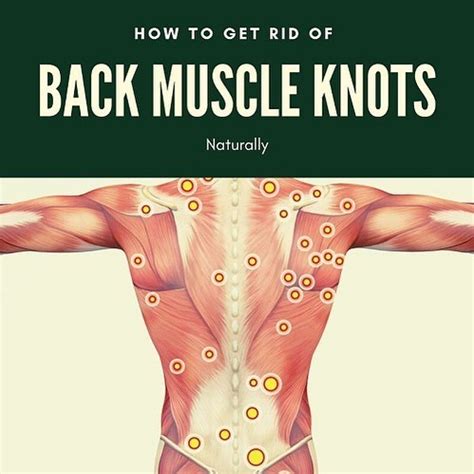 muscle knots muscles   balance day spa