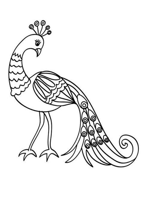 easy  print peacock coloring pages tulamama