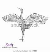 Crane Outline Japanese Coloring Adult Vector Book Stock Shutterstock Drawing Line Preview Illustration sketch template