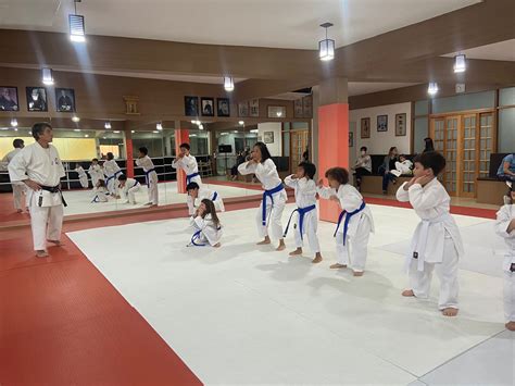 Aula De Karate Para Crianças Cotia – São Paulo – Roberto Nasci