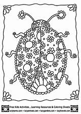 Ladybug Coccinelle Intricate Colouring Disegno Coloringhome Kleurplaten Kleurplaat Print Coloringpages Pigs sketch template