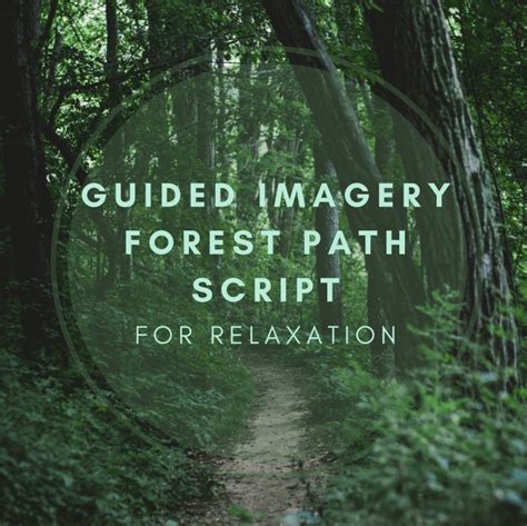 guided imagery forest path script  relaxation remedygrove