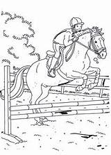 Cavalli Cavallo Kleurplaten Animali Paard Paarden Ruiter Springen Jumping Terborg600 Mandalas Coloringpagesforadult sketch template