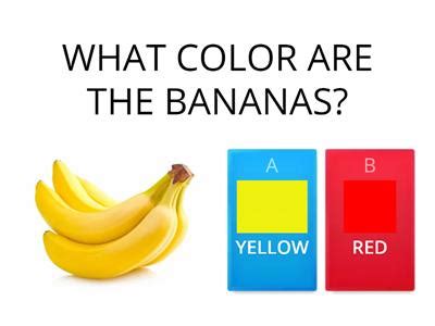 color identification teaching resources