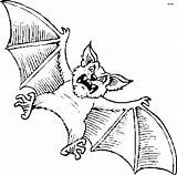 Fledermaus Nietoperz Kolorowanki Ausmalbilder Dla Bats Ausmalbild Druku Malvorlagen Kostenlos Coloringhome Erste Realisticcoloringpages sketch template