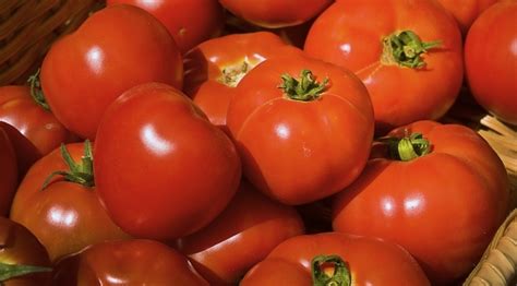 study  tomatoes  protect  depression