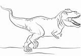 Jurassic Tirannosauro Rex sketch template