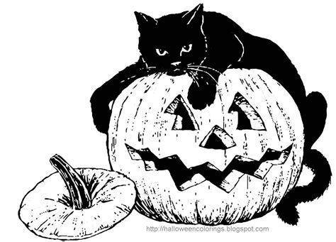 coloring pages  halloween cats beborn