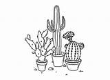 Cactus Aesthetic Tumblr Plant Drawing Coloring Pages Clipart Drawings Transparent Blackandwhite Sticker Cute Cacti Flower Clip Succulents Plants Getdrawings Pngkey sketch template
