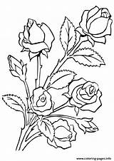 A4 Coloring Roses Pages Five Printable Print sketch template