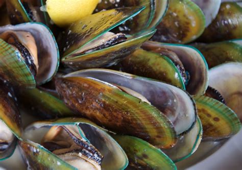 green lipped mussel side effects  beware