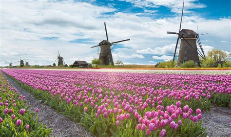 overzicht molens  nederland om te bezoeken reis liefdenl