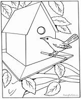 Coloring Pages Printable House Kids Adults Kid Draw Bird Sheets Colouring Birds Dementia Patients Templates Adult Boys Learn Print Easy sketch template