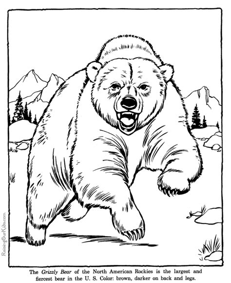 grizzly bear coloring pages zoo animals