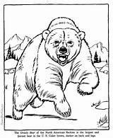 Coloring Pages Bear Grizzly Zoo Animal Printable Animals Color Help Print Kids Raisingourkids Drawing Printing Adult sketch template