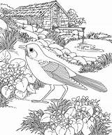 Bird Violet sketch template